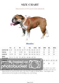 2015 Holiday Raffle For English Bulldog Rescue