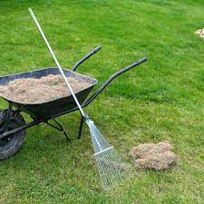 This causes more stress to your lawn and, as a result, the lawn will need more time to recover. Dethatching Your Lawn Cardinal Lawns