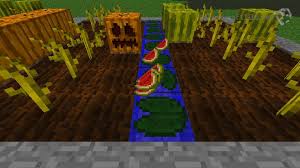 Growing Crops Minecraft 101