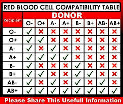 Red Blood Cell Compatibility Chart Blood Compatibility