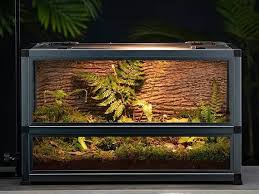 Reptile Glass Tank Terrarium Cage With