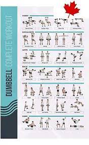 fitmate dumbbell workout poster free