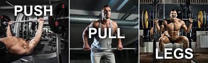 advanced push pull legs split routine