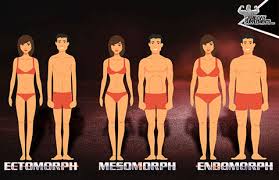 Adapting your training and nutrition to your somatotype is missing the point. Are You Mesomorph How To Determine Your Body Type