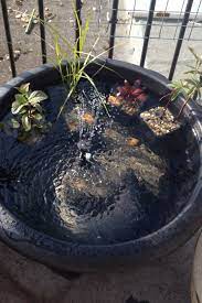 What other things can you use the sun for you ask? Pond In A Pot With Solar Powered Water Feature Solar Fountain Fountains Backyard Diy Solar Fountain