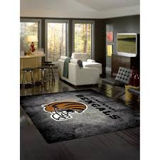 team color indoor area rug in the rugs