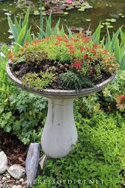 Bird Bath Garden Garden Pots