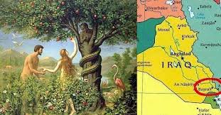 adams tree garden of eden al qurna