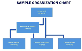 Free Microsoft Office Organizational Chart Template Organisation