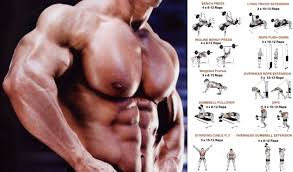 muscle defining sut for