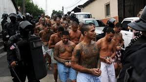 There are an estimated 25,000 gang members at large in el salvador; Ms13 S Political Power In El Salvador The Offspring Of Punitive Populism Quixote Globe