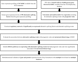 Frontiers Identification Of Prognostic And Metastatic