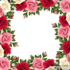 poster colored roses frame vector