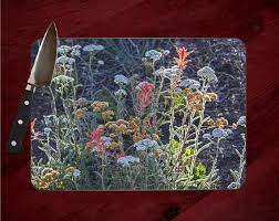 Bryce Canyon Wildflowers Cutting Board