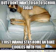 but i dont want to go to school today ... - Large sleeping dog ... via Relatably.com