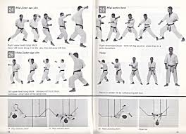 Before you can execute a cool karate move like the crane kick from the karate kid or perform complicated katas, you need to learn the most simple karate moves. Heian 2