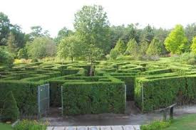 Elizabethan Hedge Maze Vancouver