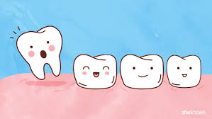 A Timeline For Your Childs Tooth Loss Sheknows