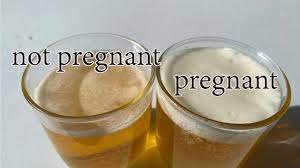 pregnant test with bleach pregnant
