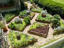Flower Bed And Raised Bed Ideas