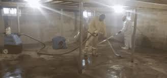 Basement And Attic Cleaning Cleanup