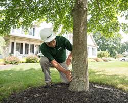 Check out our premium certified arborist study guide to take your studying to the next level. The Benefits Of Hiring A Davey Certified Arborist