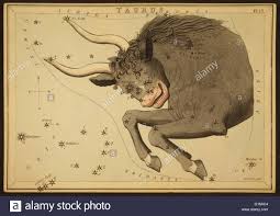 Astronomical Chart Showing The Bull Taurus Forming The