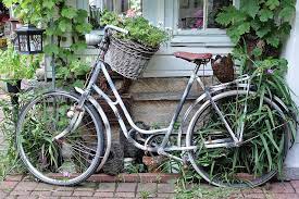 vine bike vines germany basket