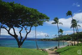 kapalua beach in kapalua maui hawaii
