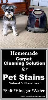 homemade carpet cleaner for pet stains