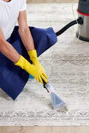 professional carpet cleaning st