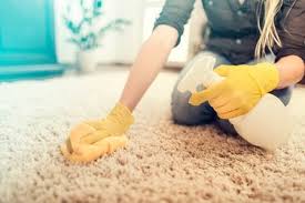how to clean human from carpet
