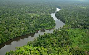 Suriname, officially known as the republic of suriname, is a country on the northeastern atlantic coast of south america. Conservation International Suriname