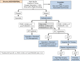 Hypertensive Heart Disease  Overview  Etiology  Epidemiology Download figure    Open in new tab    