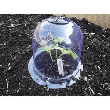 growaway reusable garden cloches small