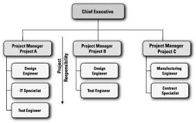 3 Structures For Project Administration Dummies