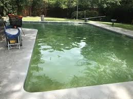 how to remove algae from a pool