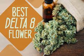 10+ Best Delta 8 Flowers, Strains Buds ...