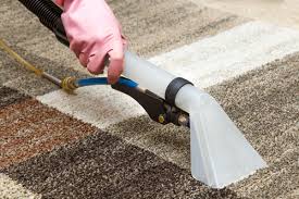water removal service for carpet