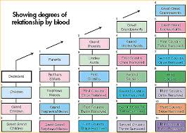 Consanguinity The Full Wiki Family Tree Chart All In