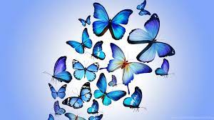 Animated Butterfly HD Wallpapers - Top ...