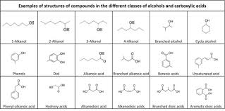 alcohols and carboxylic acids