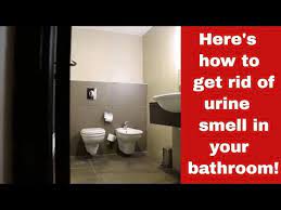 How To Get Rid Of Urine Smell In Your