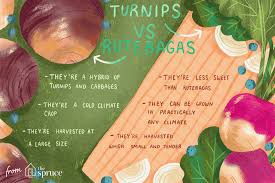 what s the difference between turnips