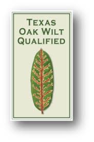 I played professional football for 7 years in the nfl, cfl, and, afl which gave me an opportunity to study arboriculture and forestry. Oak Wilt Qualified Arborists Isa Texas Chapter