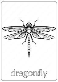 Dragonfly pages to color / they are from half an inch to five feet long and come in a variety of colors like green, yellow, red and blue. Animals Dragonfly Coloring Pages Book