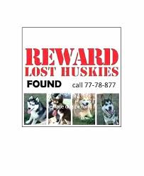 Red Photo Pet Missing Poster Use This Template Lost Cat Word