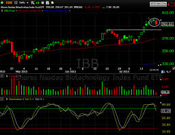 The Market Speculator Stock Chart Of The Day Ibb