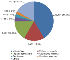 A Pie Chart Showing Species Distribution Of The Top Blast