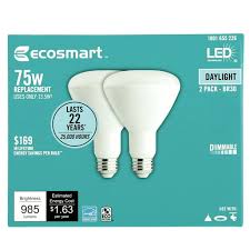 Ecosmart 75 Watt Equivalent Br30 Dimmable Energy Star Led Light Bulb Daylight 2 Pack Walmart Com Walmart Com